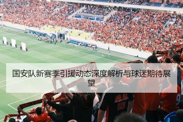 国安队新赛季引援动态深度解析与球迷期待展望